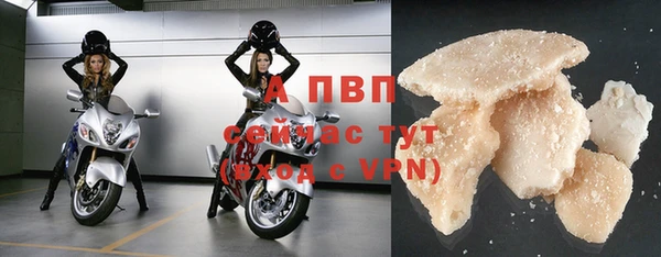 эйфоретик Верея