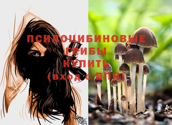 эйфоретик Верея