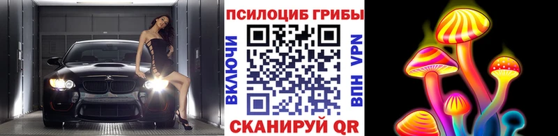 Псилоцибиновые грибы Magic Shrooms Купить где Малоархангельск